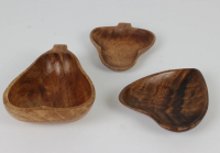 Patery tekowa.png